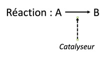 catalyseur